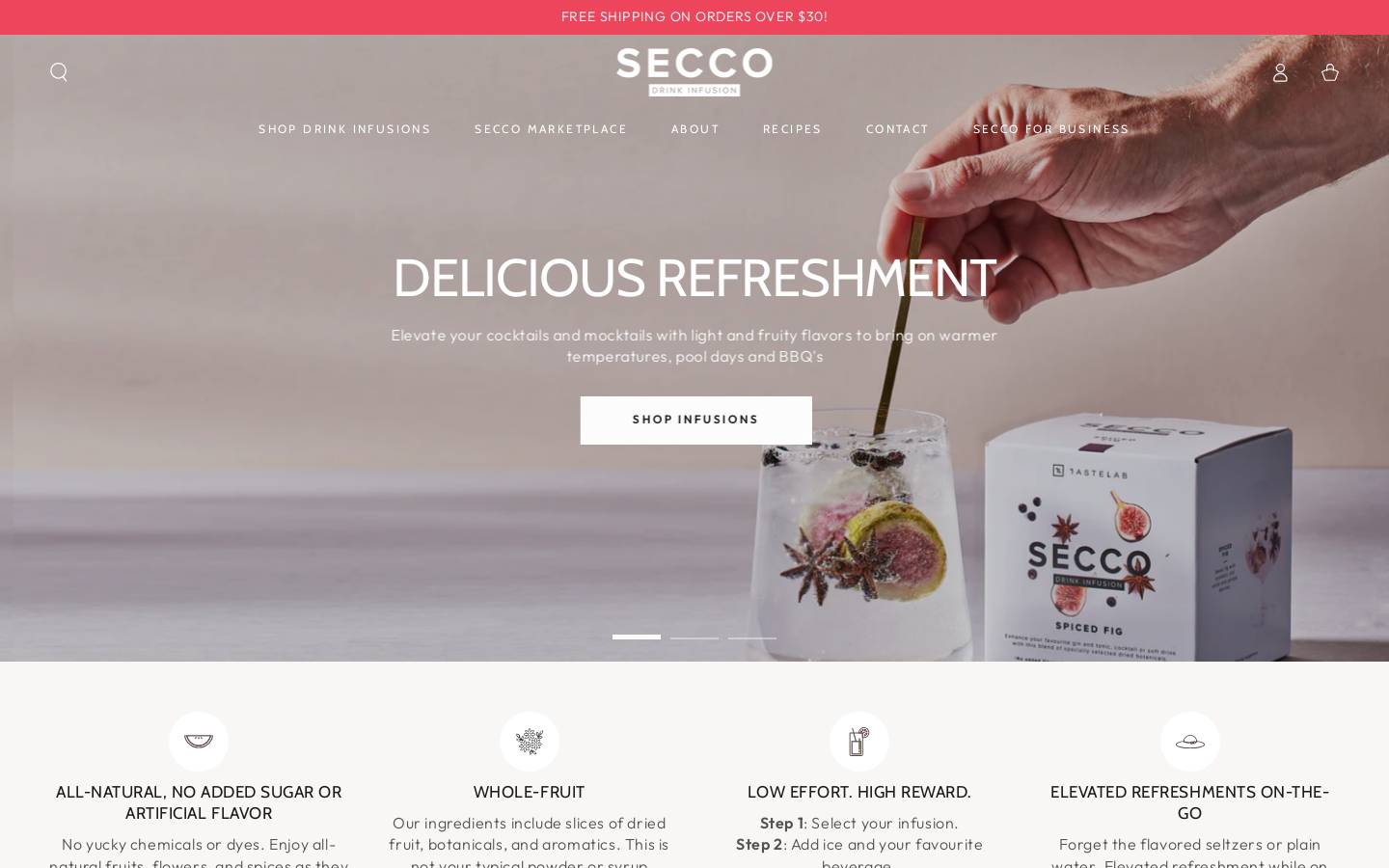 secco-us.com homepage screenshot