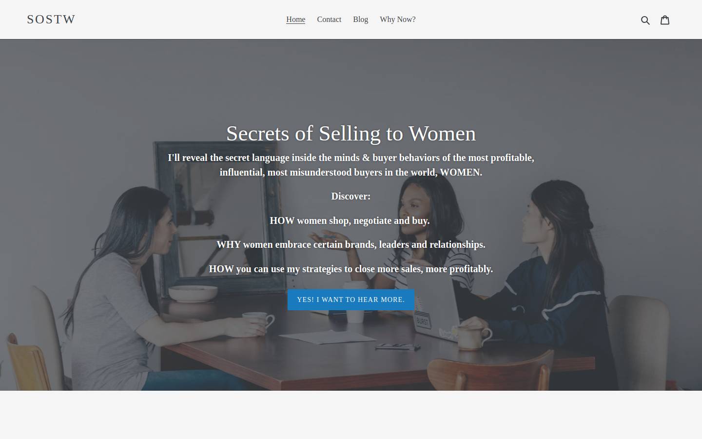 secretsofsellingtowomen.com homepage screenshot