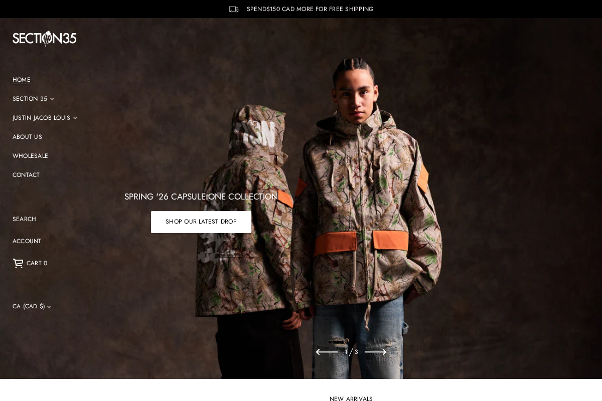 SECTION 35 homepage screenshot