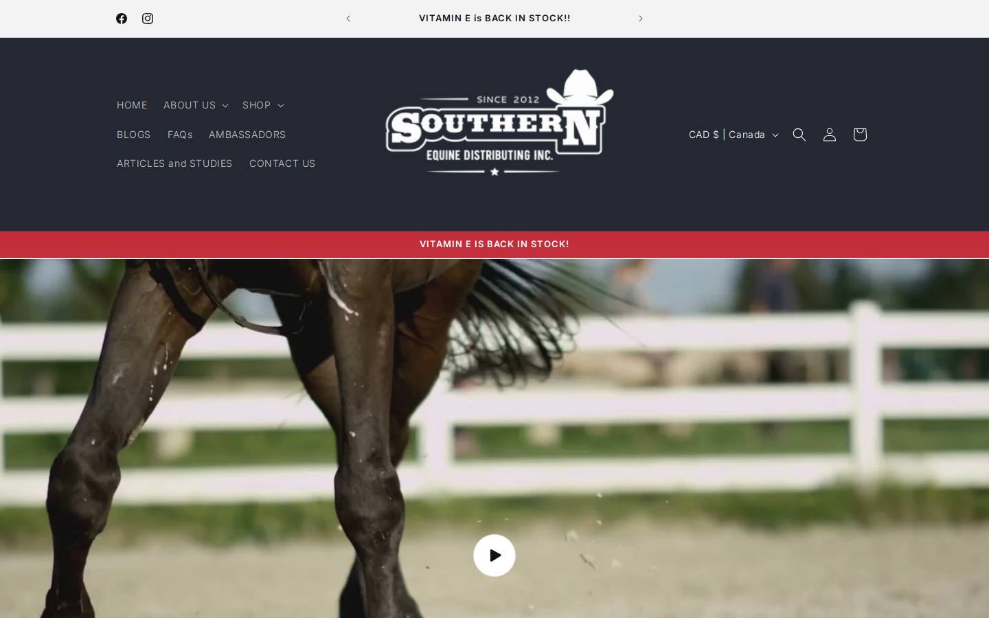 sedstore.ca homepage screenshot