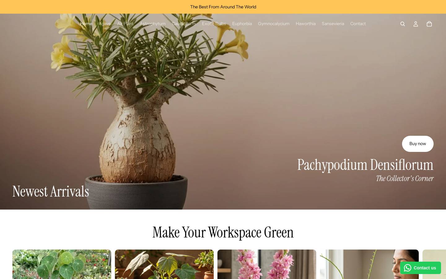 Seedlings India homepage screenshot
