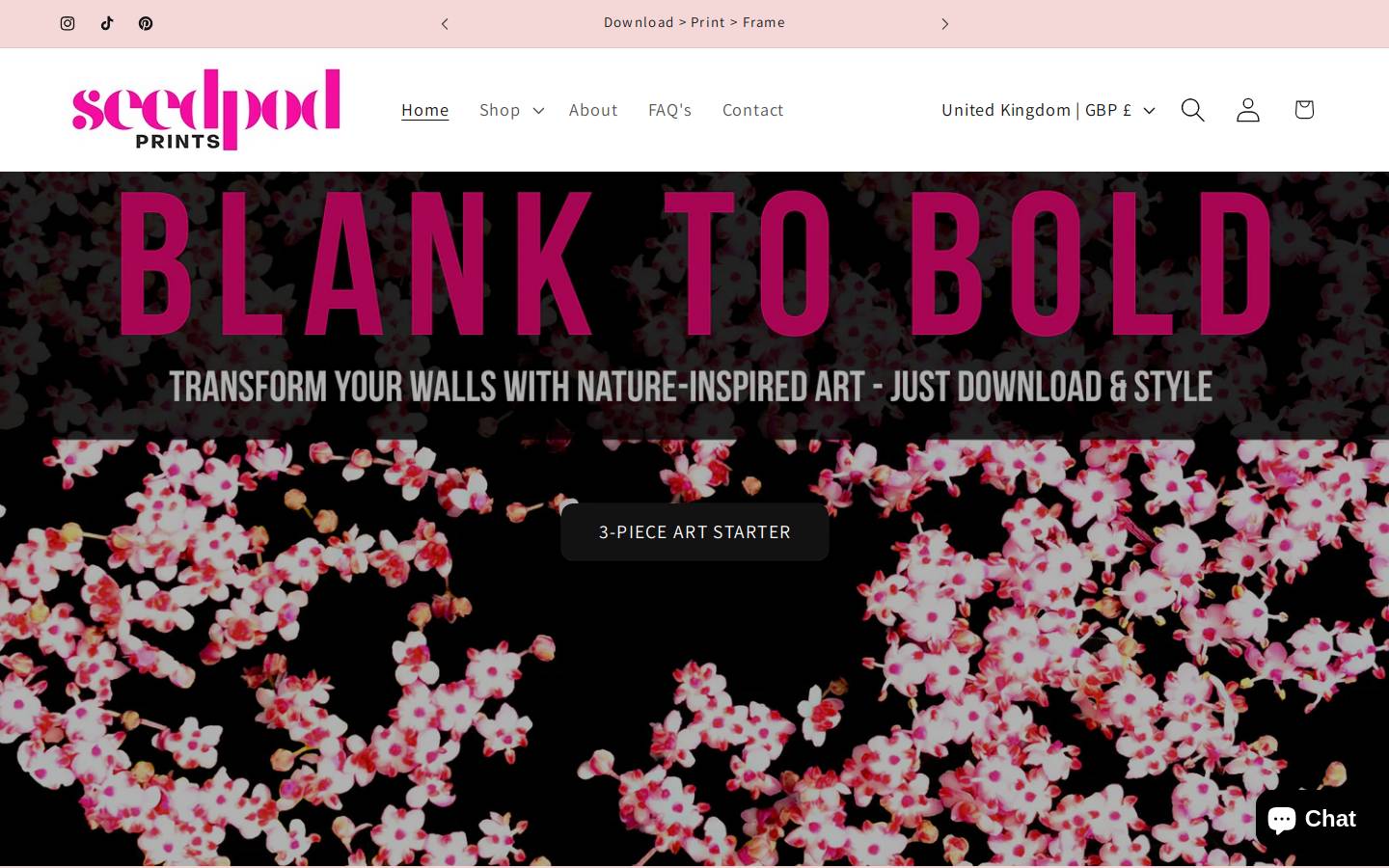 seedpodprints.com homepage screenshot