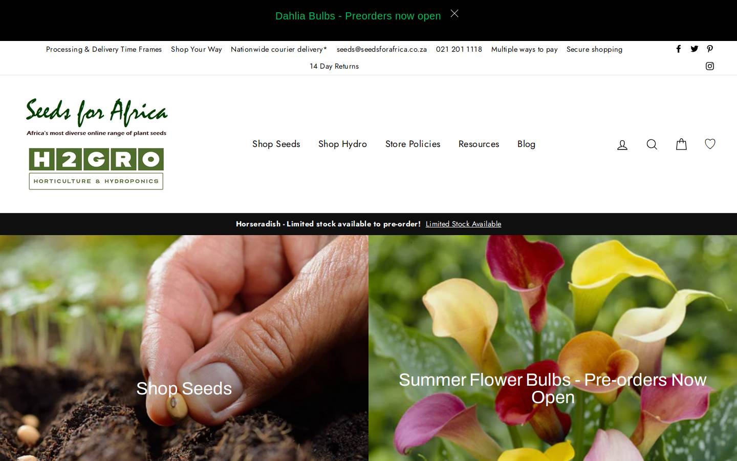 Seedsforafrica homepage screenshot