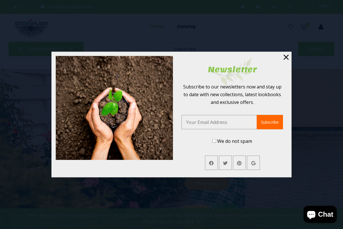 Seedsplant homepage screenshot