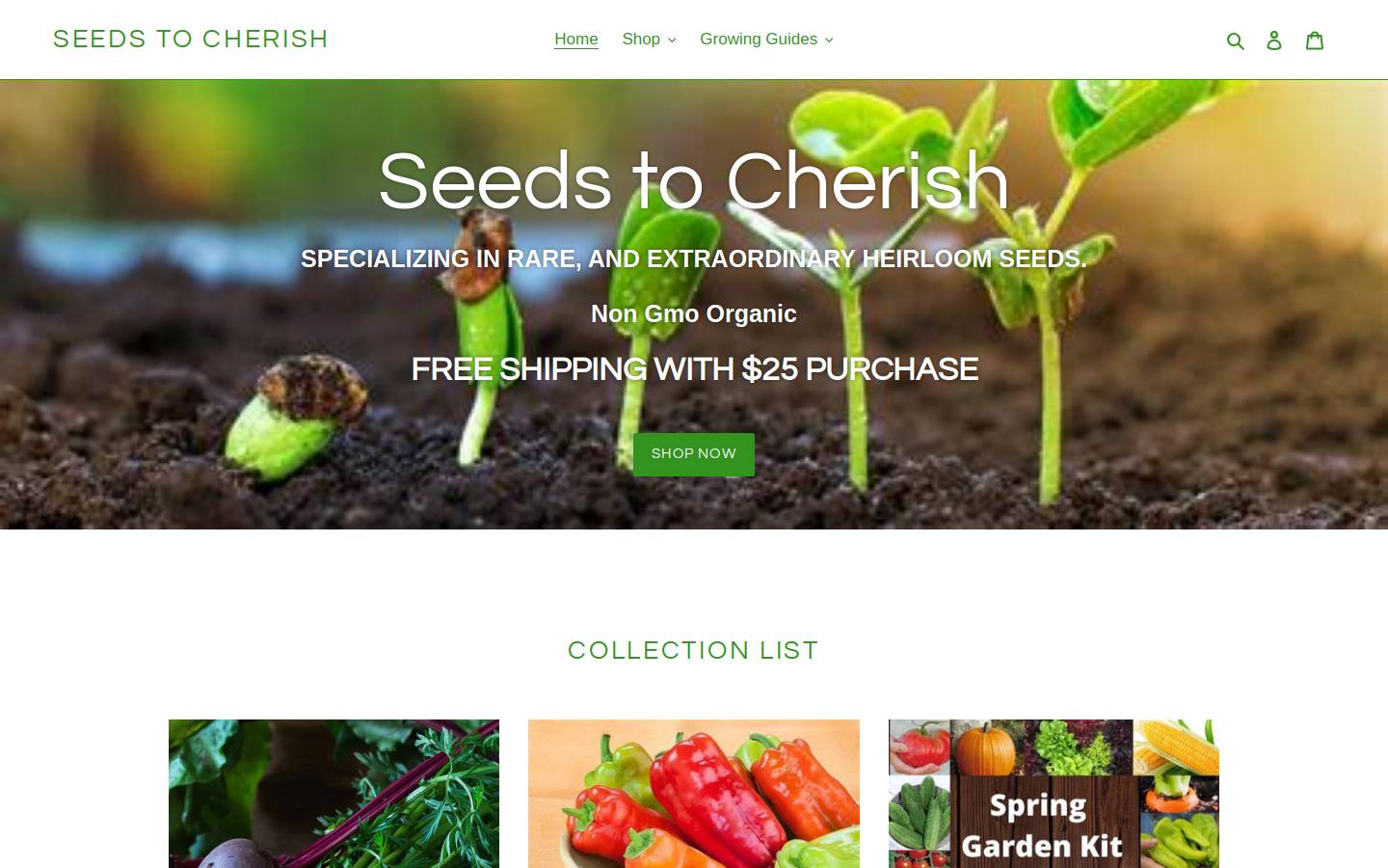 seedstocherish.com homepage screenshot