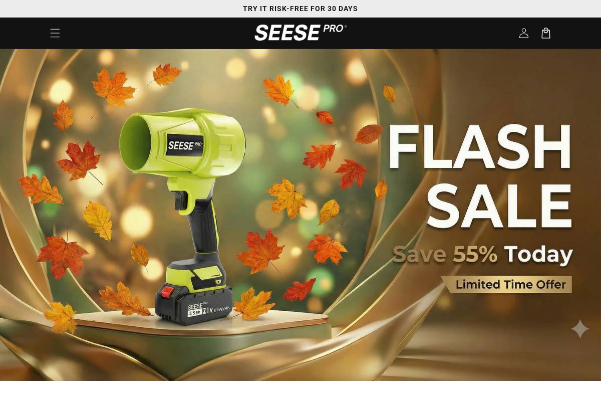 Seesepro homepage screenshot