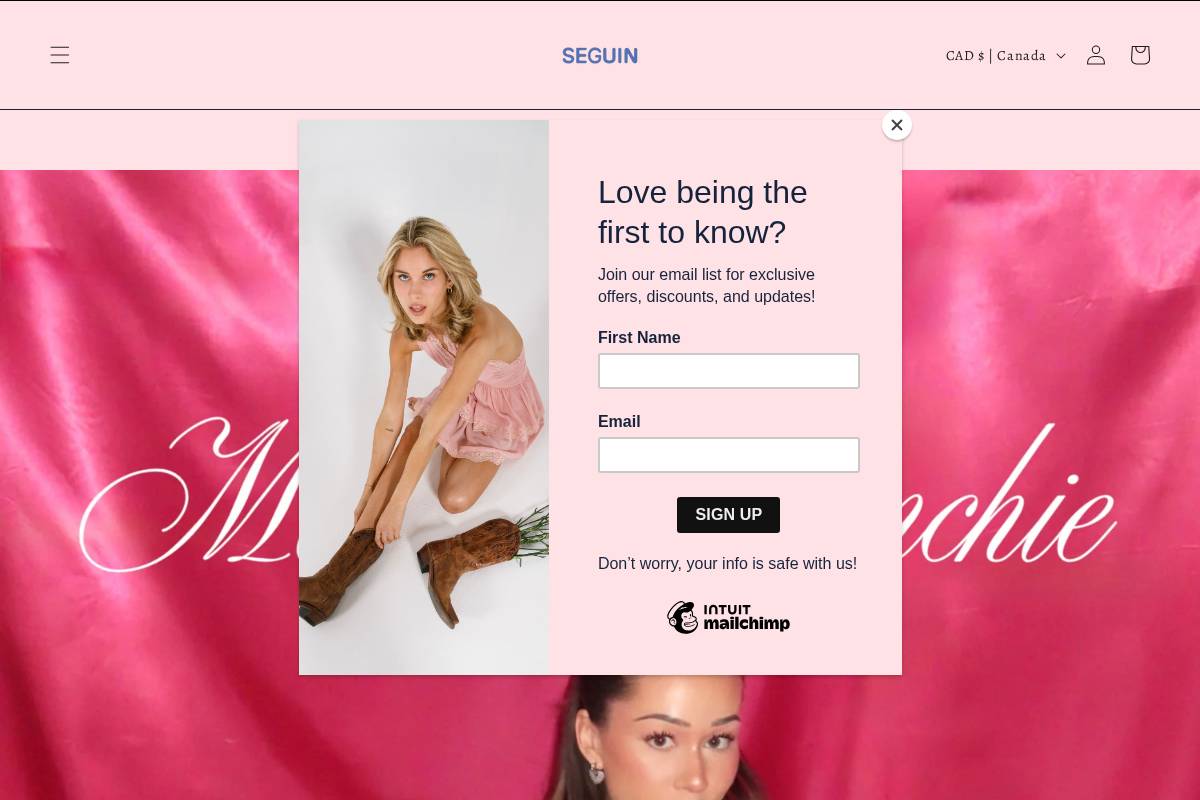 seguinthebrand.com homepage screenshot