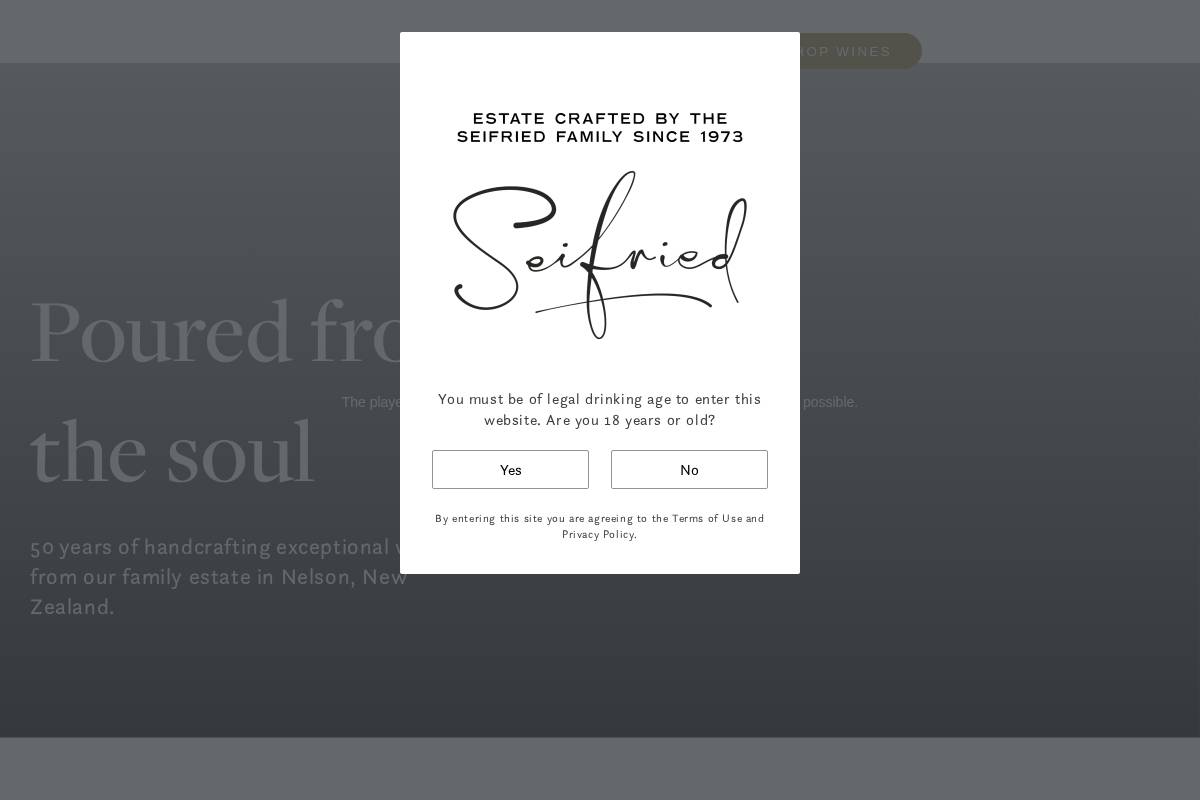 seifried.co.nz homepage screenshot