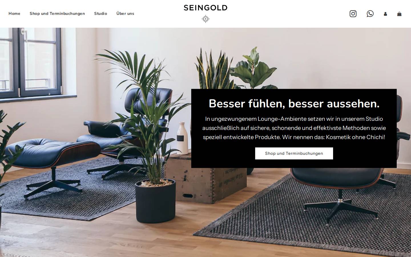 seingold.com homepage screenshot