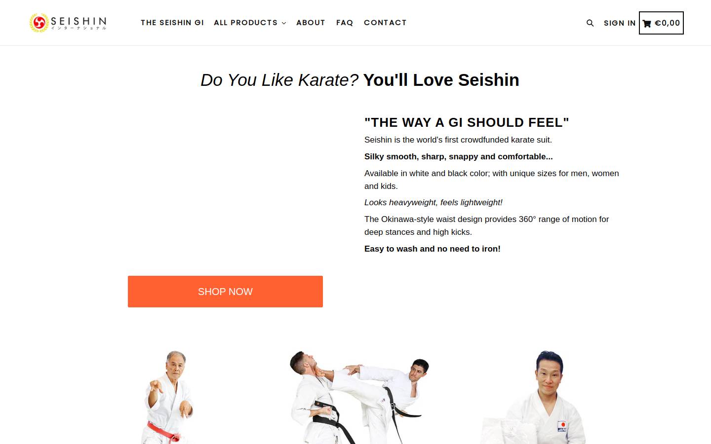 Seishin Int. homepage screenshot
