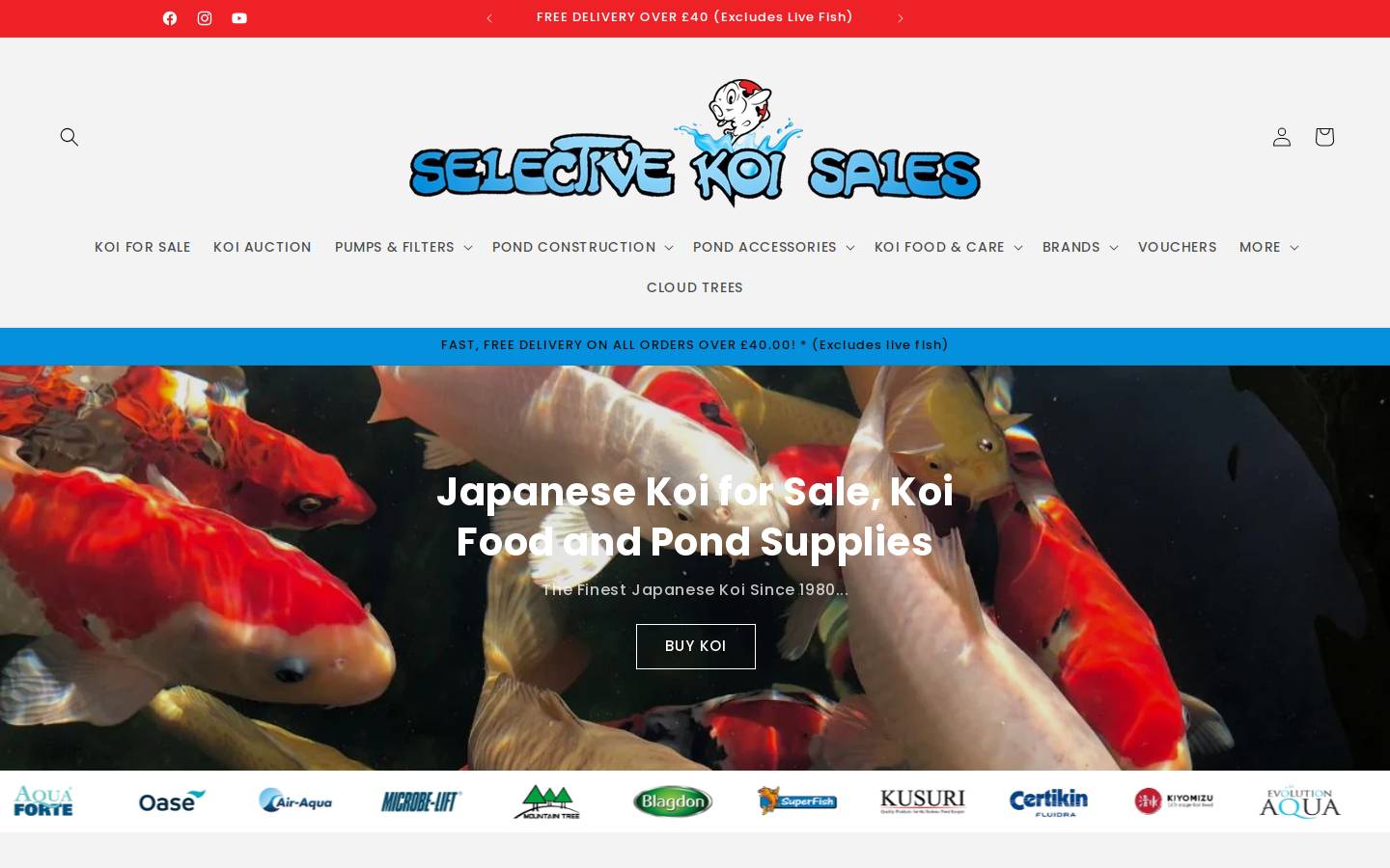selectivekoisales.co.uk homepage screenshot
