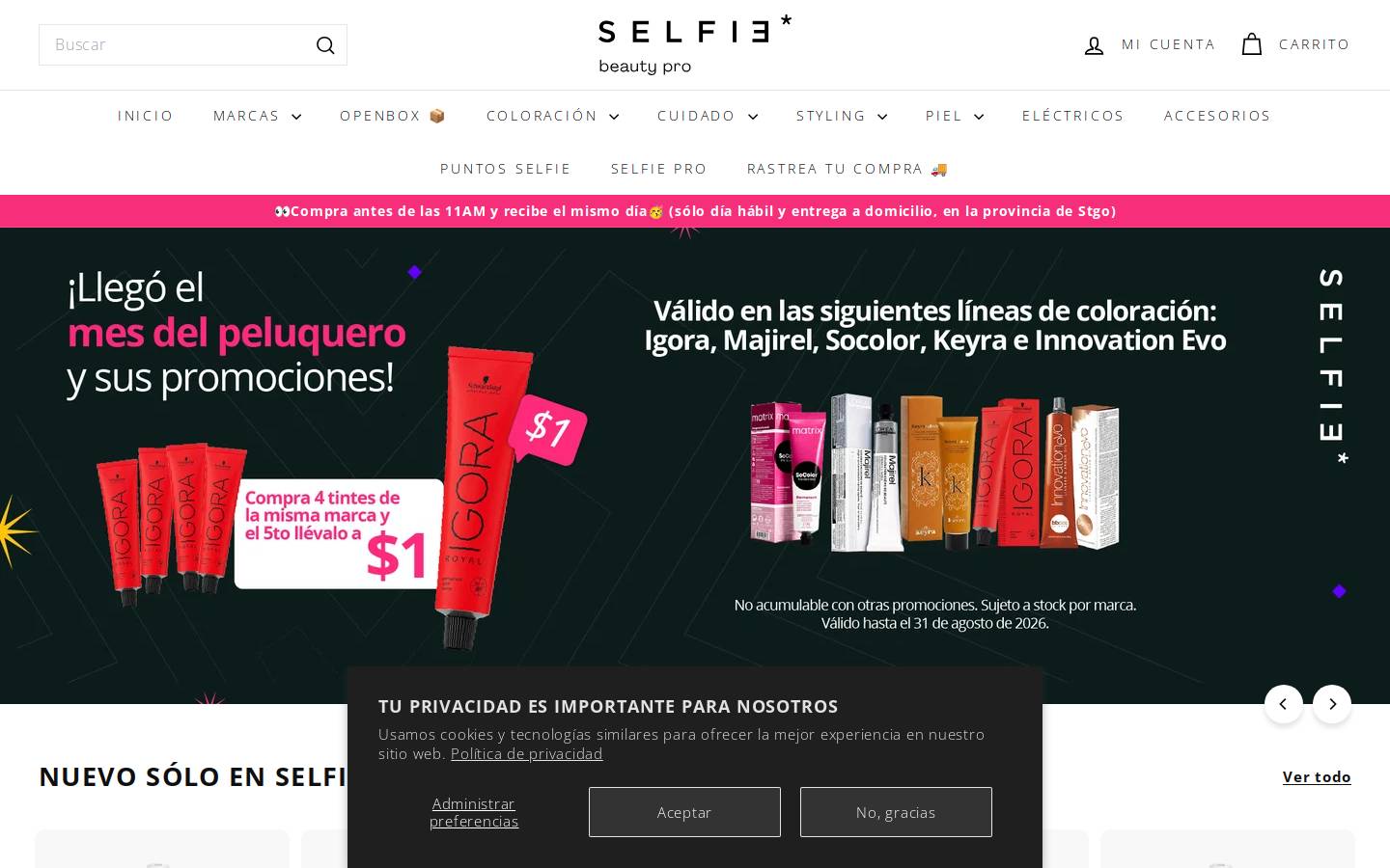 selfie.cl homepage screenshot