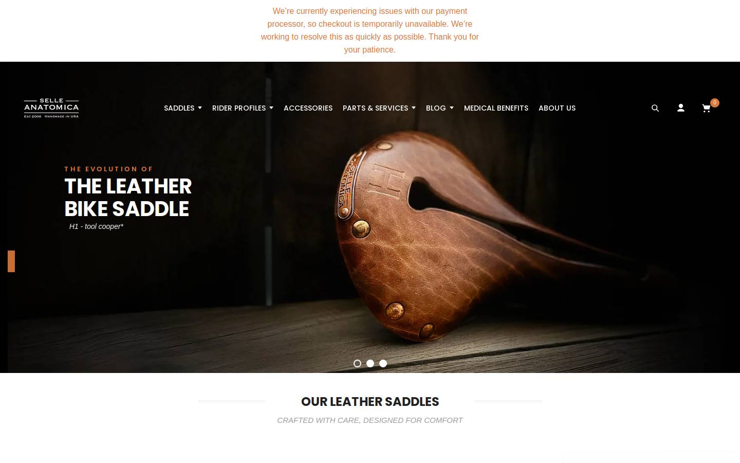 selleanatomica.com homepage screenshot