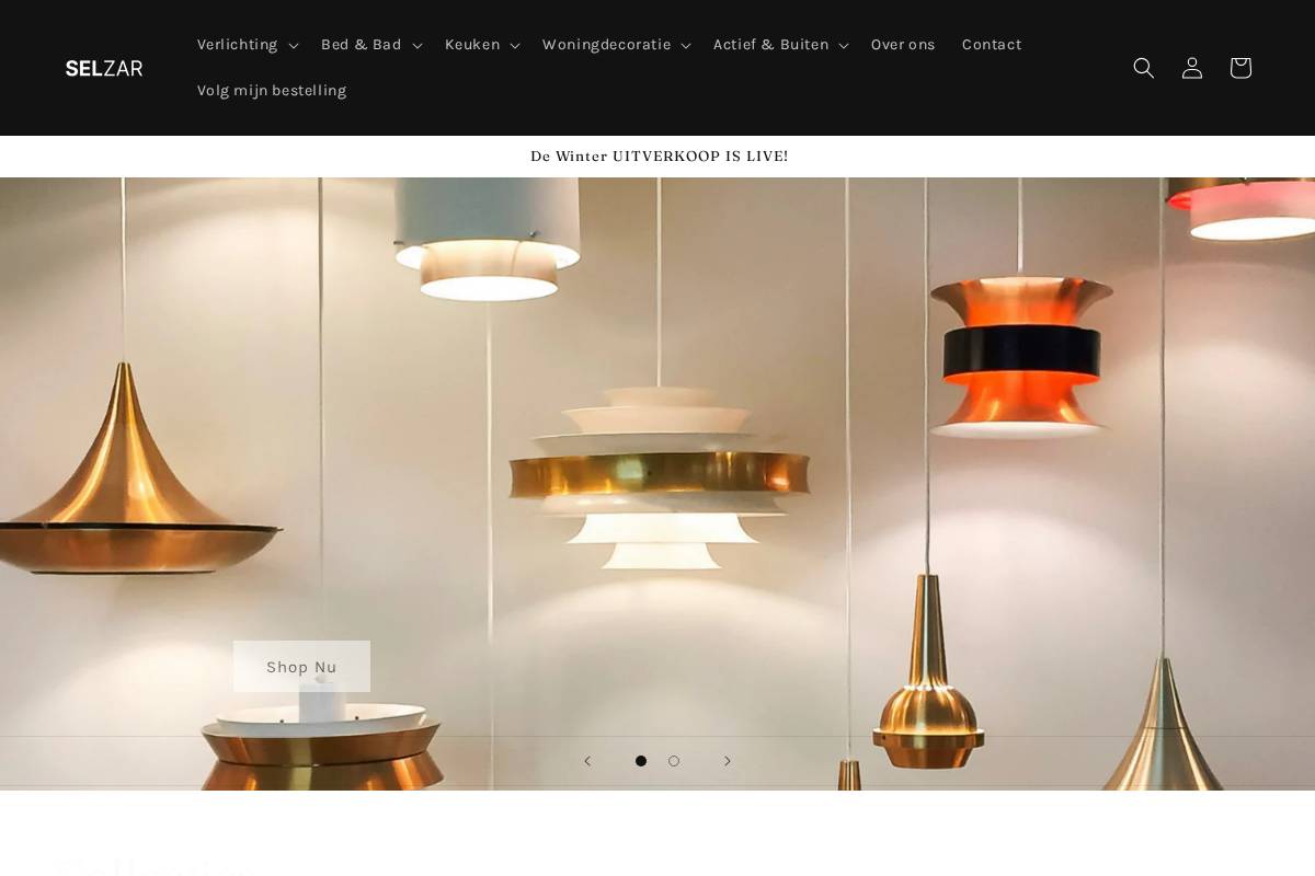 Selzar homepage screenshot