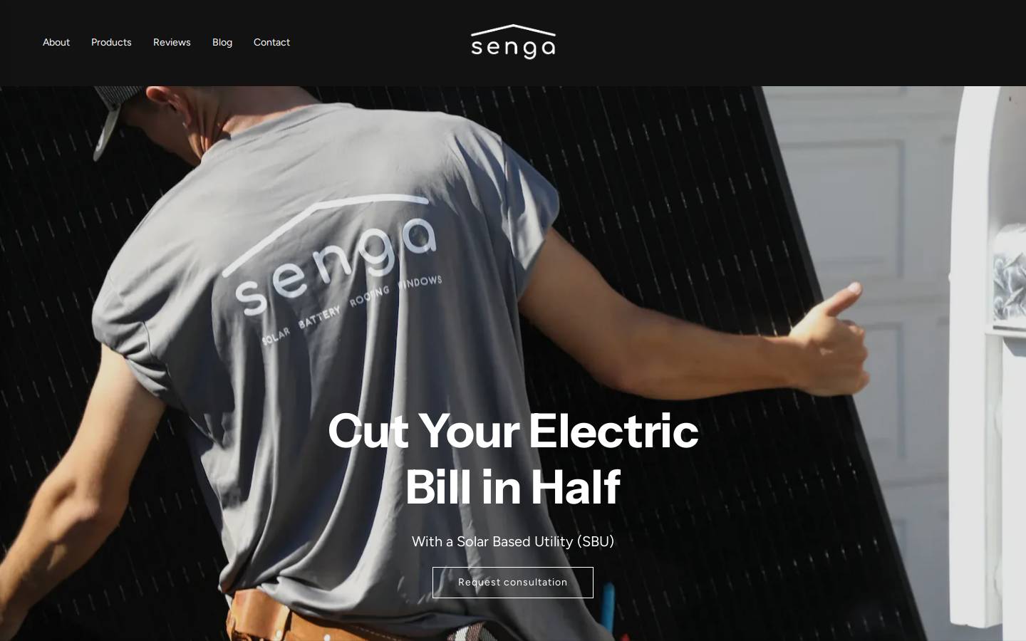 sengaenergy.com homepage screenshot