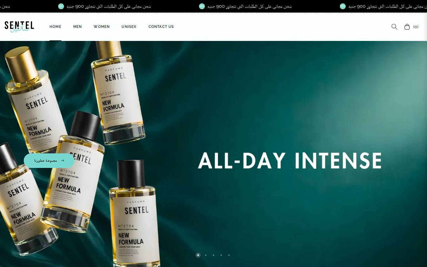 sentel-egypt.com homepage screenshot