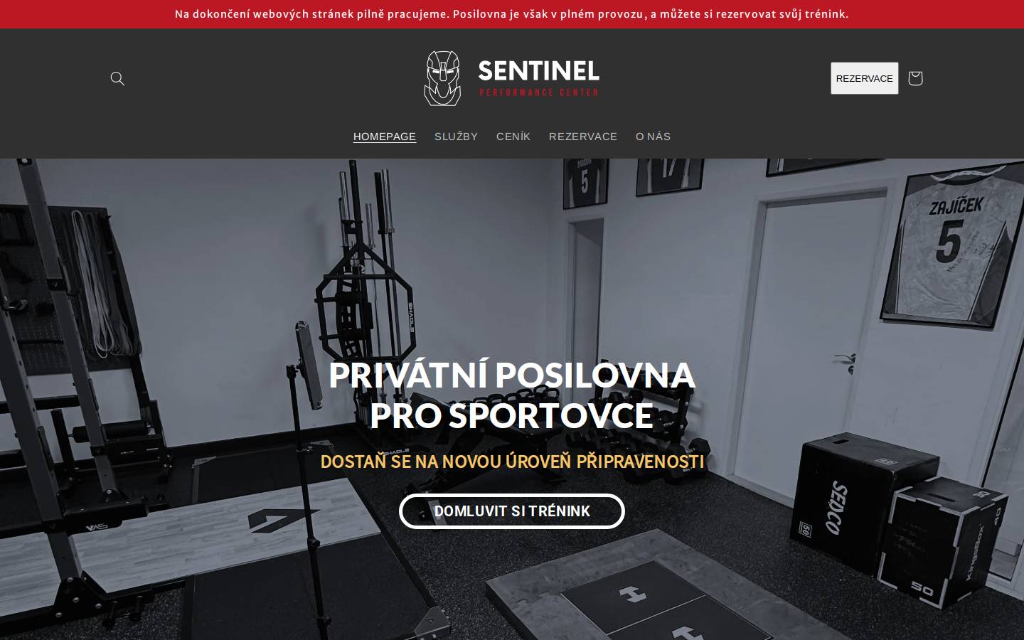 sentinelgym.cz homepage screenshot