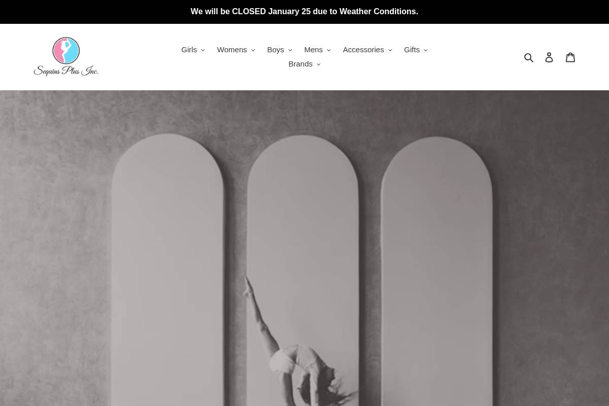 sequinsplusinc.com homepage screenshot