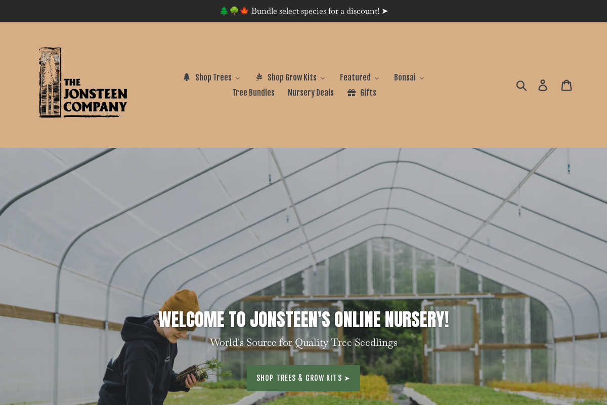 The Jonsteen Company homepage screenshot
