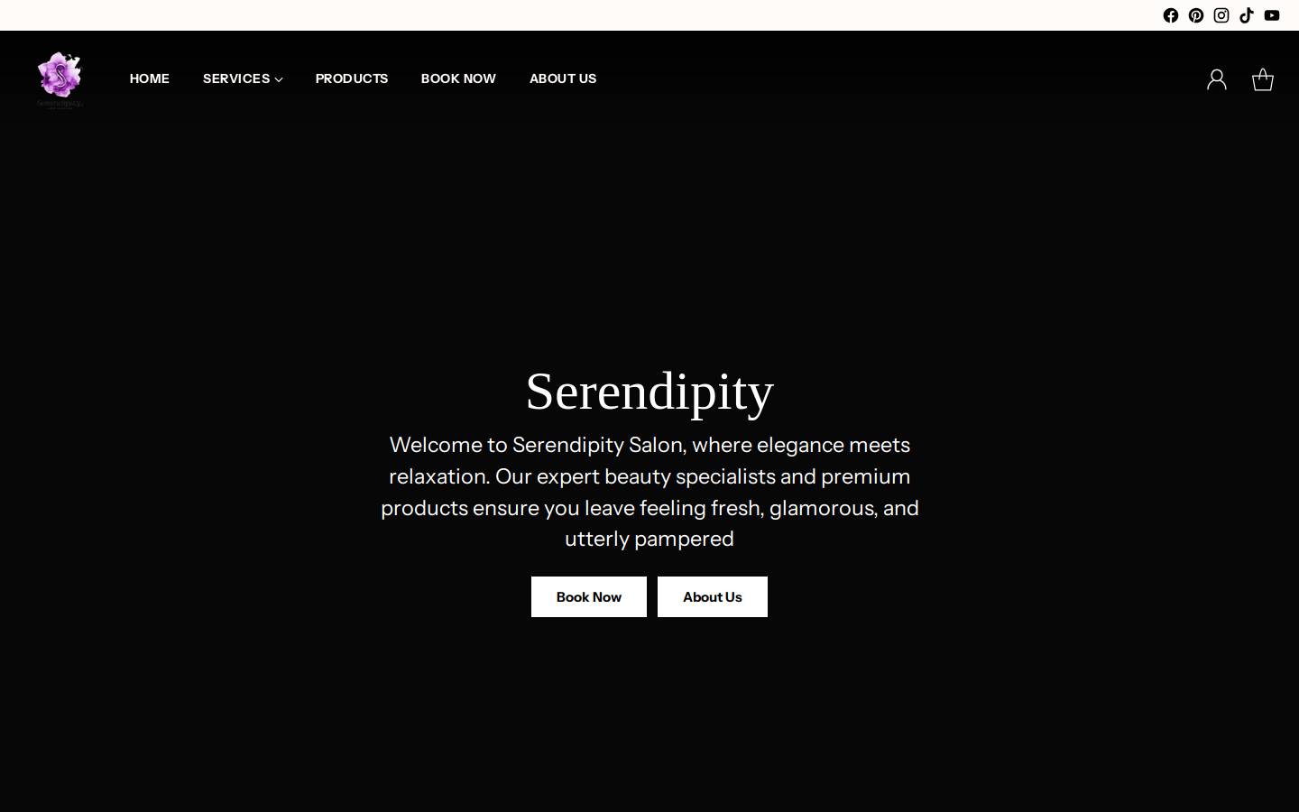 serendipitysalon.me homepage screenshot