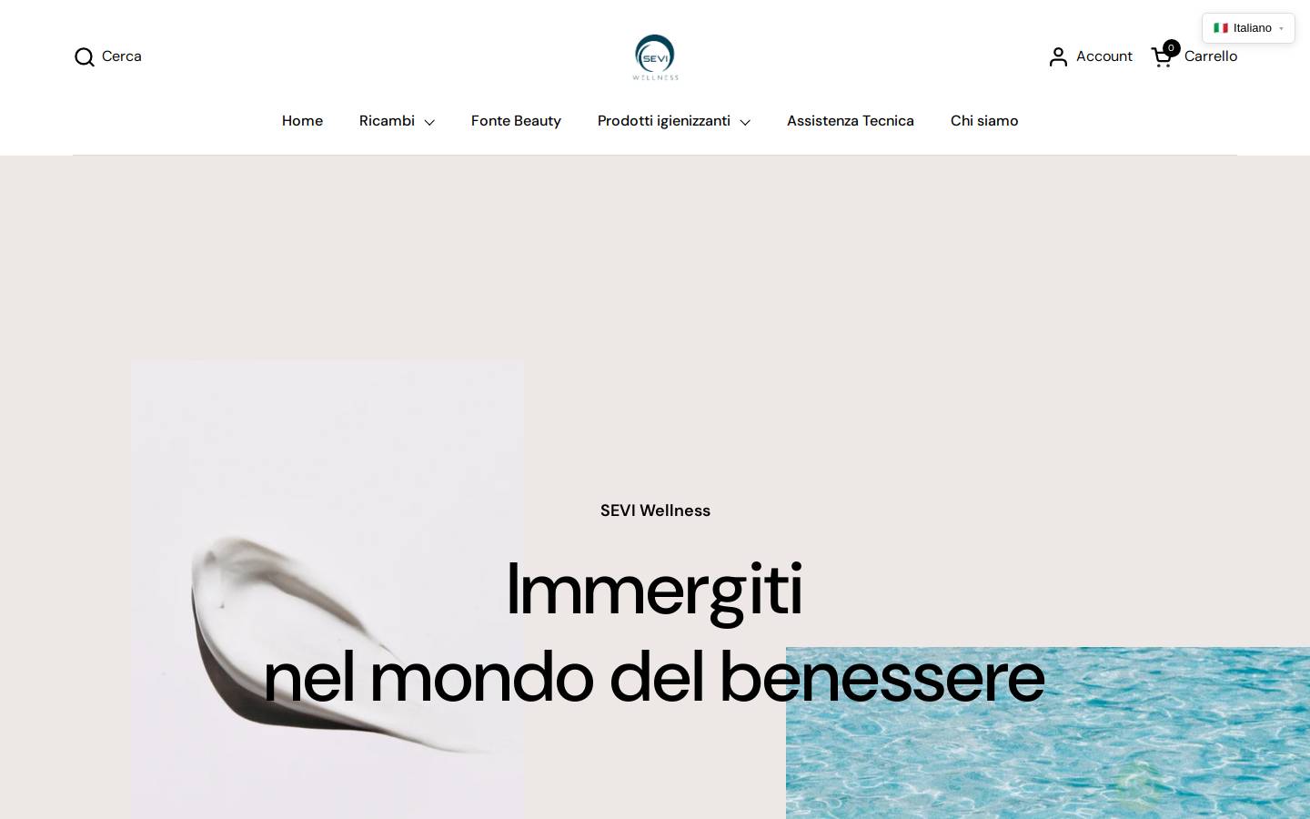 Seviwellness homepage screenshot