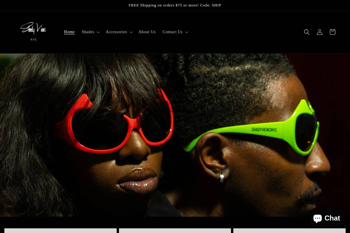 shadyviewsnyc.com homepage screenshot