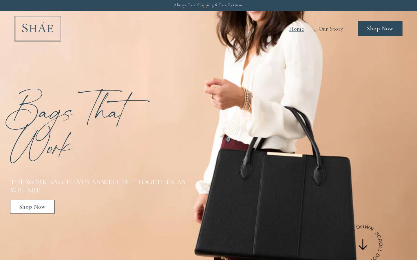 shaebag.com homepage screenshot