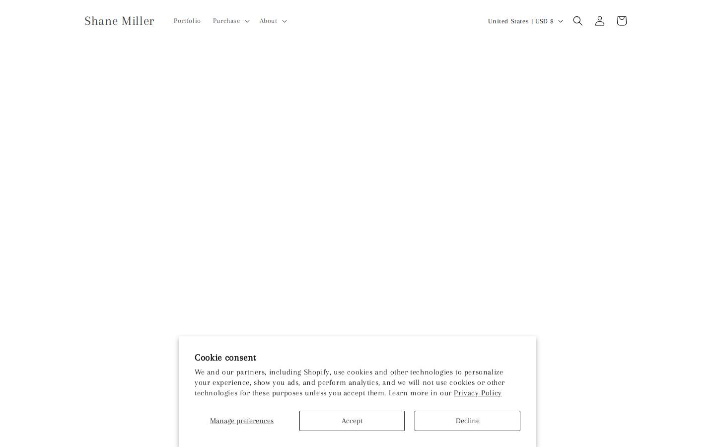 shaneartistry.com homepage screenshot