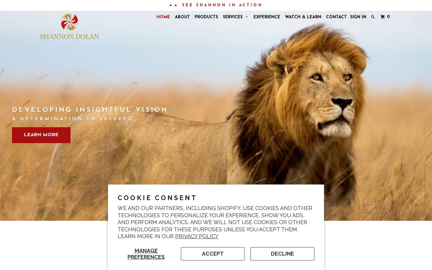 shannondolan.com homepage screenshot