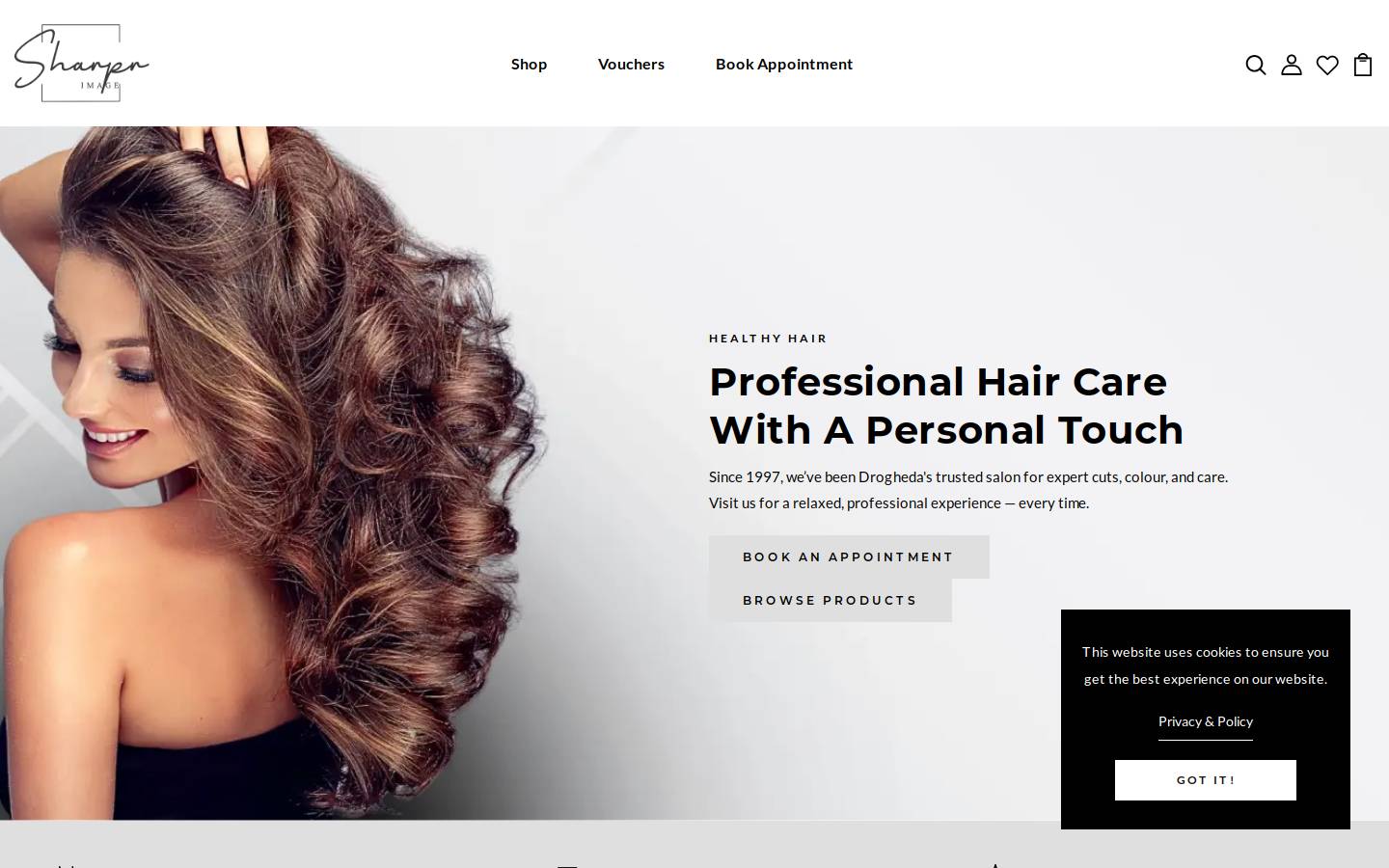 SharperImage.com homepage screenshot
