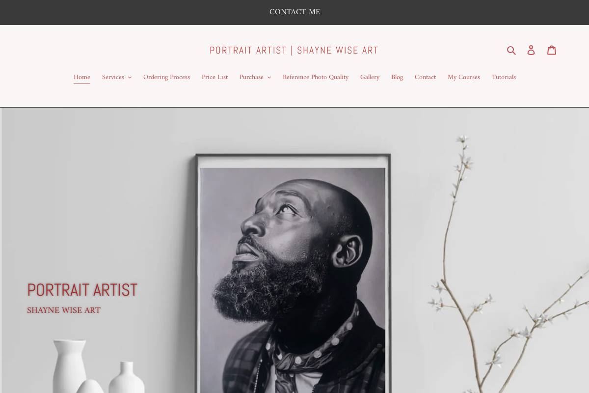 shaynewiseart.com homepage screenshot