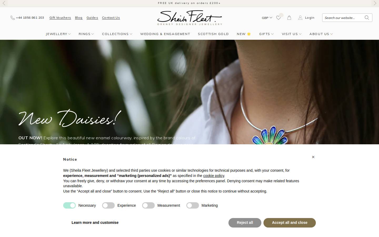 Sheila Fleet homepage screenshot