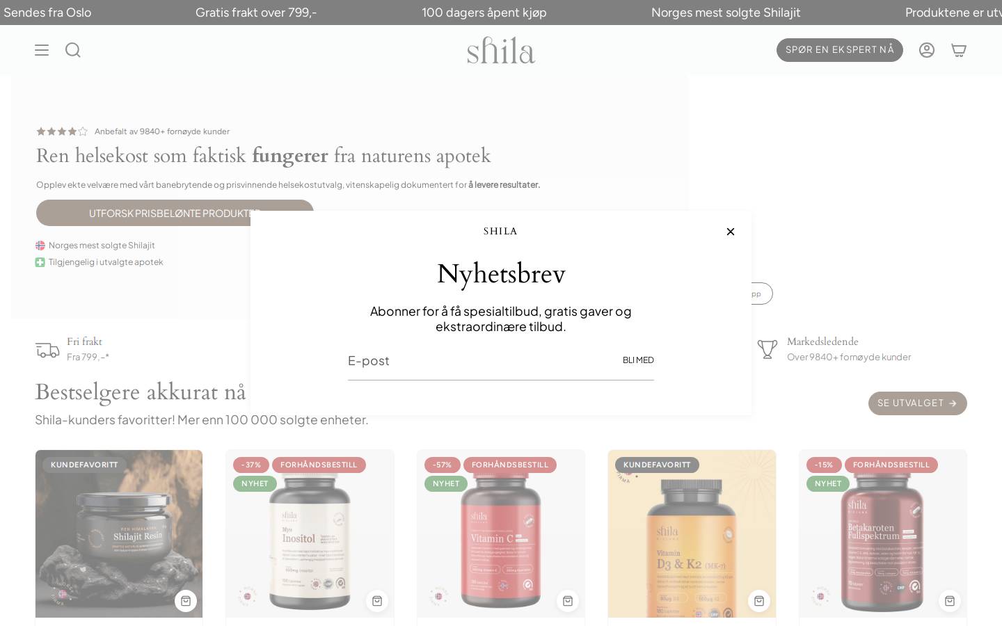 Shila homepage screenshot