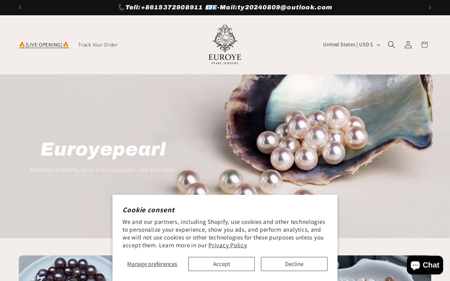 shinediy.com homepage screenshot
