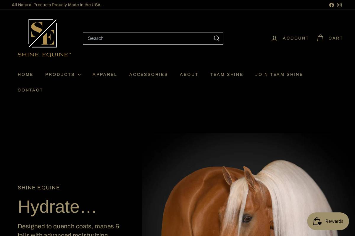 shinequine.com homepage screenshot