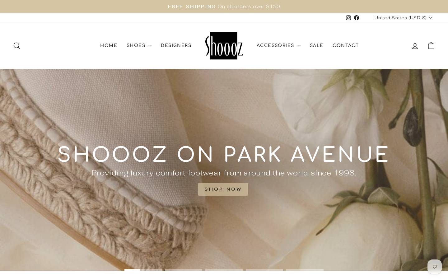 shooozonparkave.com homepage screenshot