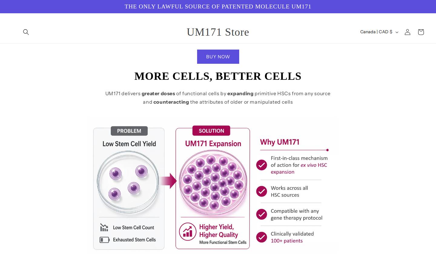 shop-um171.com homepage screenshot