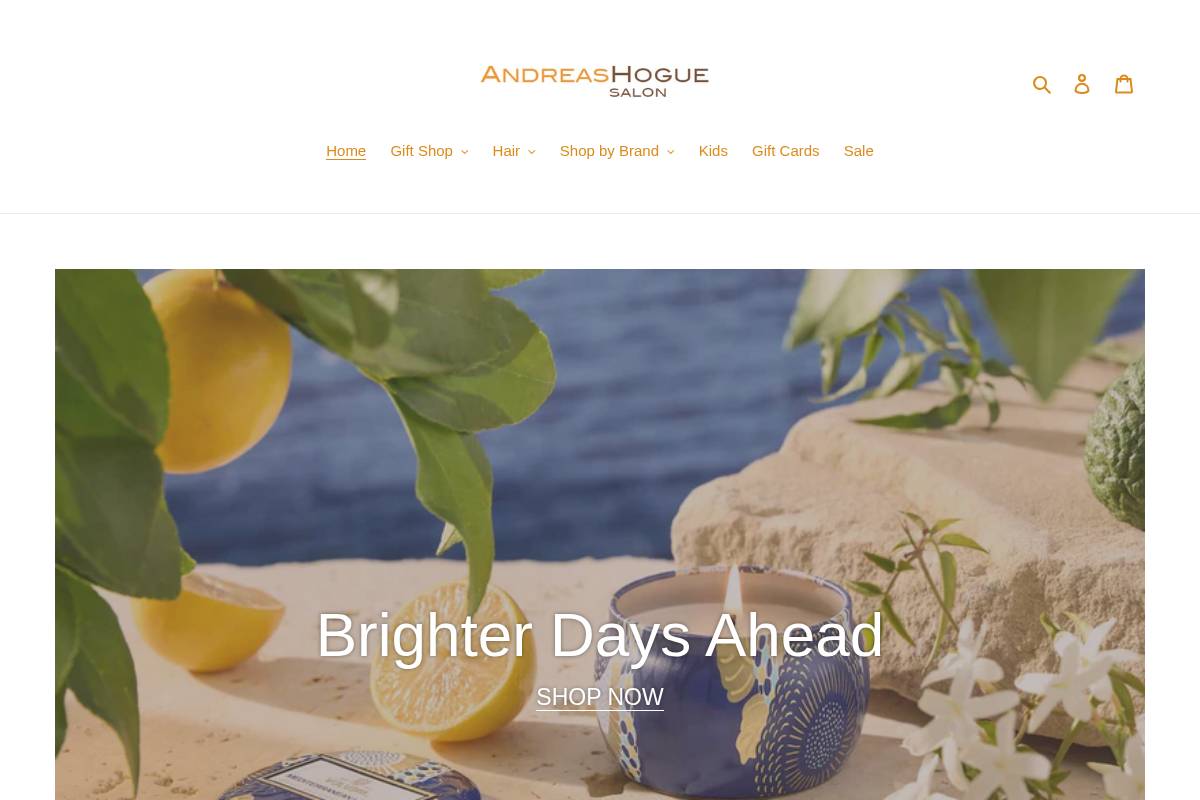 shopandreashogue.com homepage screenshot