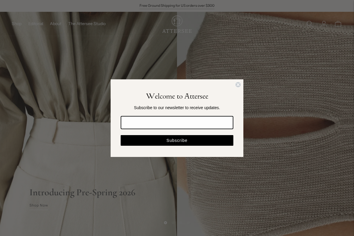 Attersee homepage screenshot