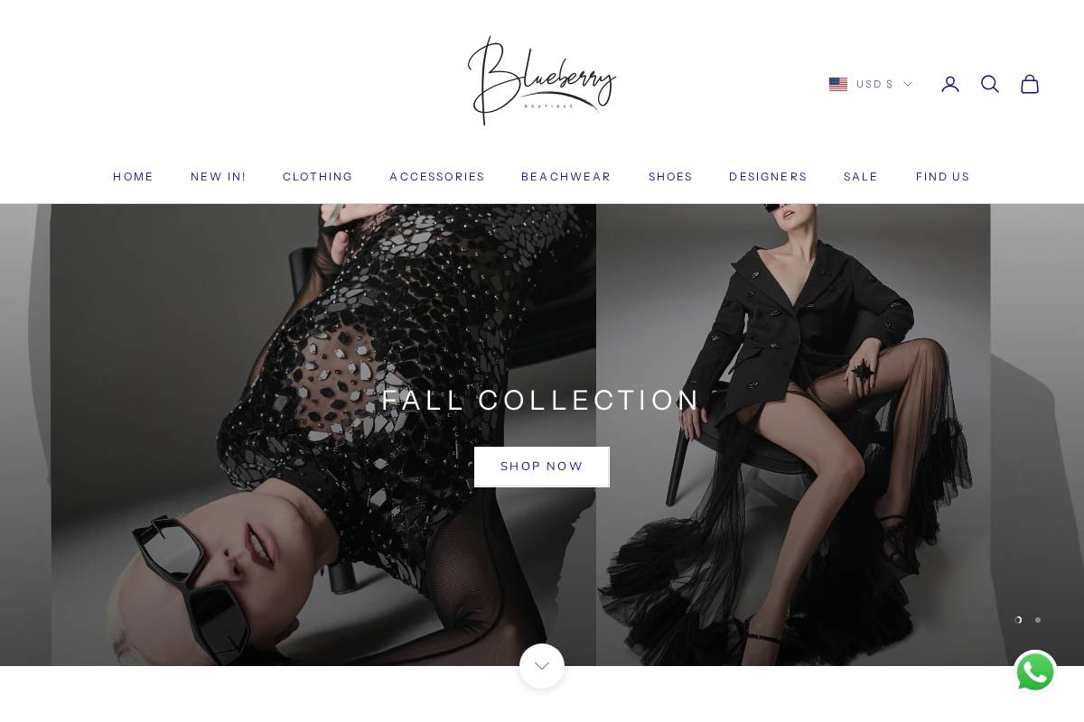 shopblueberryboutique.com homepage screenshot