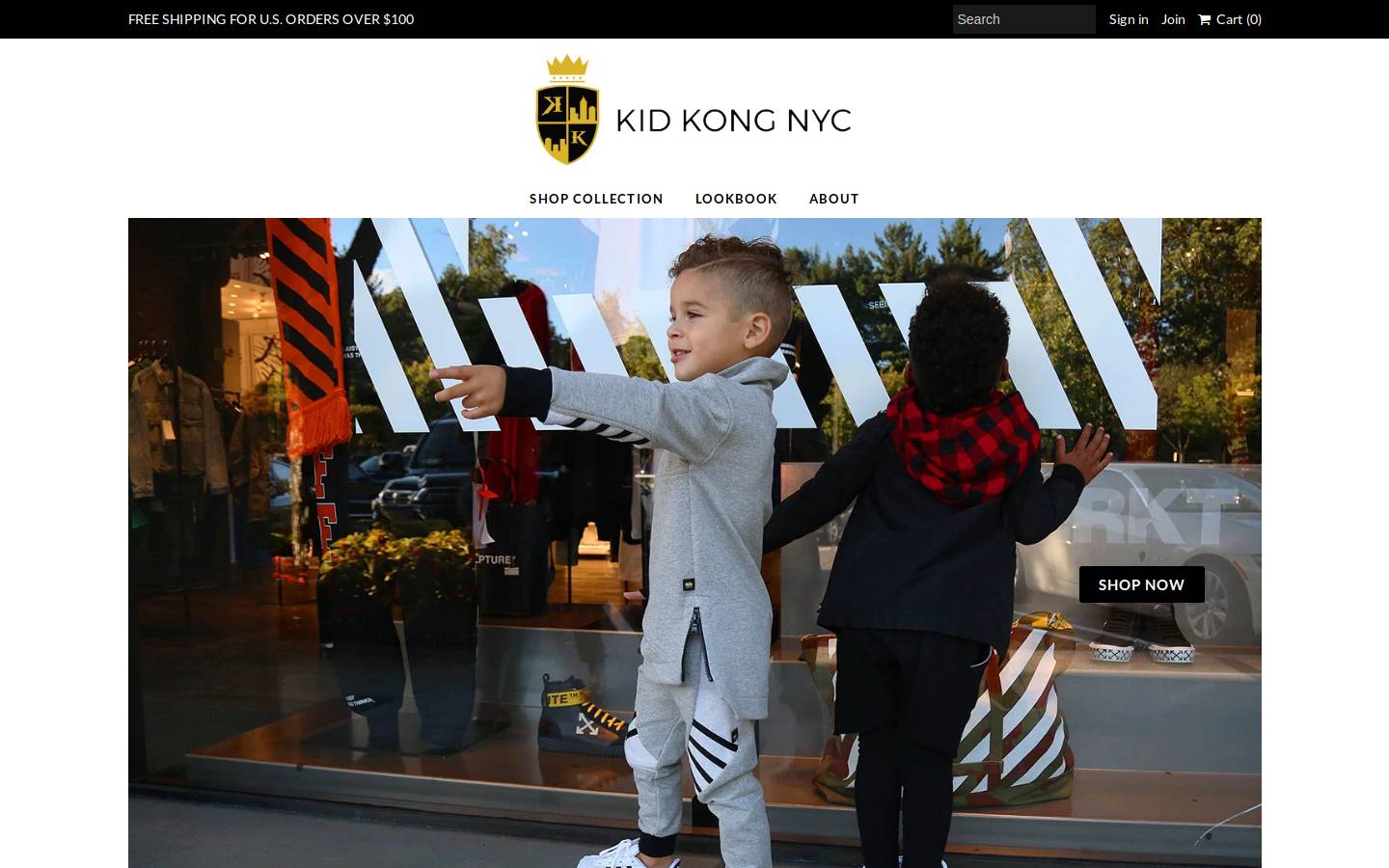 shopkidkongnyc.com homepage screenshot