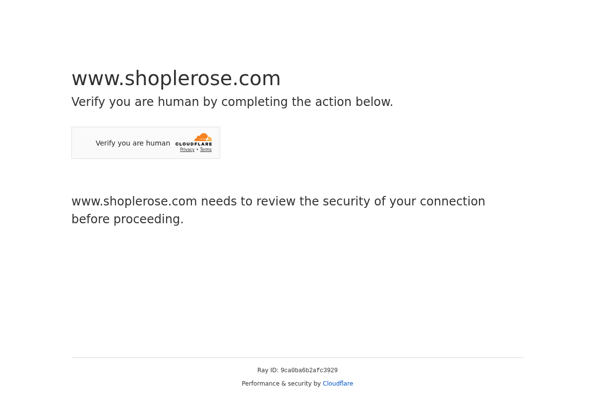 Just a moment... homepage screenshot