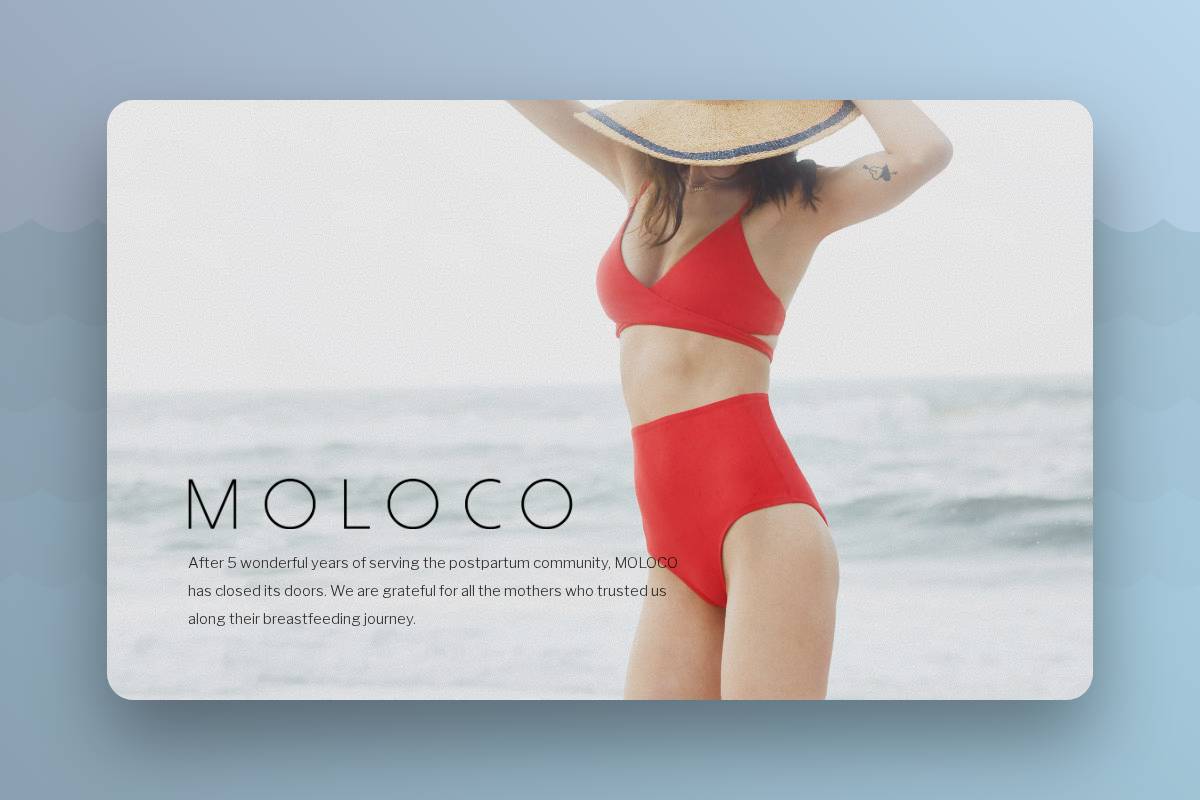 shopmoloco.com homepage screenshot