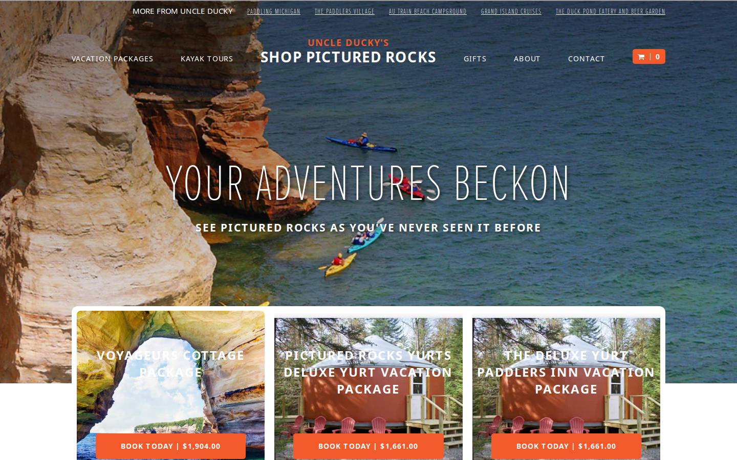 shoppicturedrocks.com homepage screenshot
