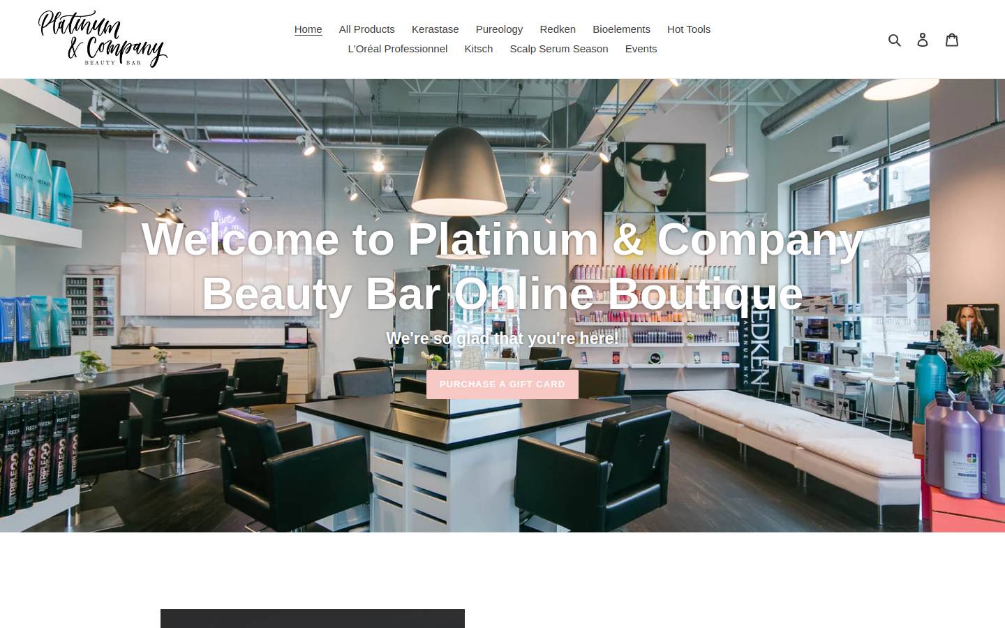 shopplatinumandcompany.com homepage screenshot