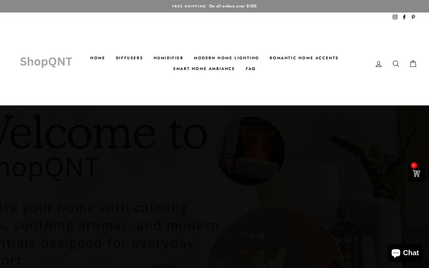 shopqnt.com homepage screenshot