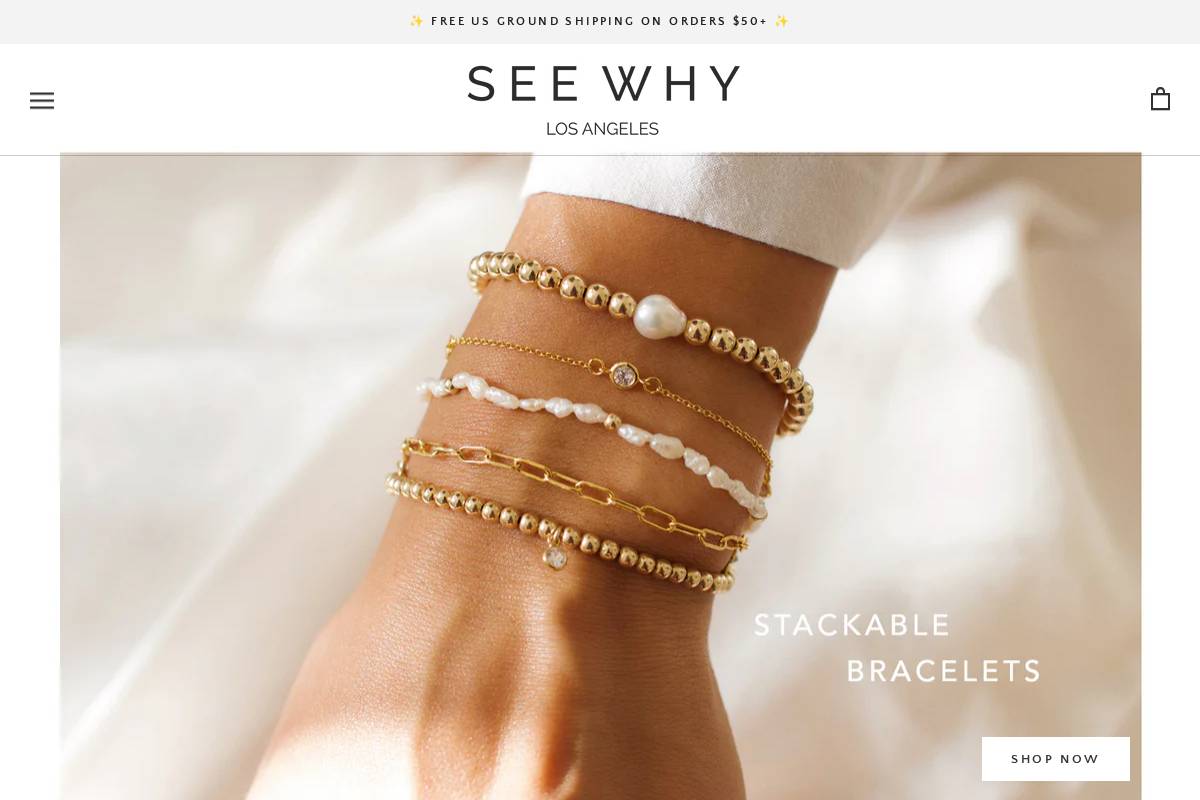 shopseewhy.com homepage screenshot