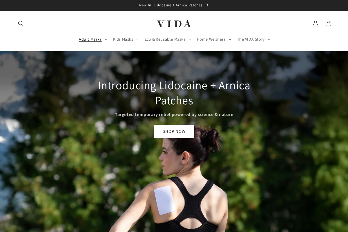 VIDA homepage screenshot