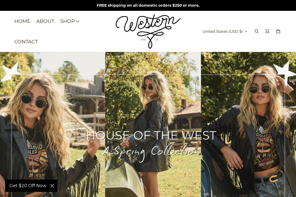 Western & Co. homepage screenshot