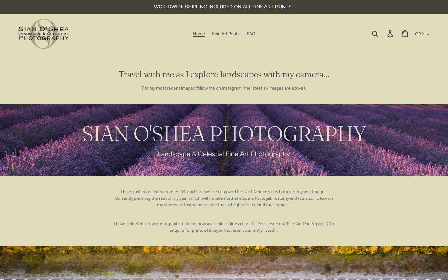 sianoshea.com homepage screenshot